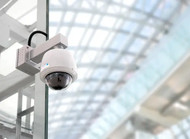 Segurança eletrónica